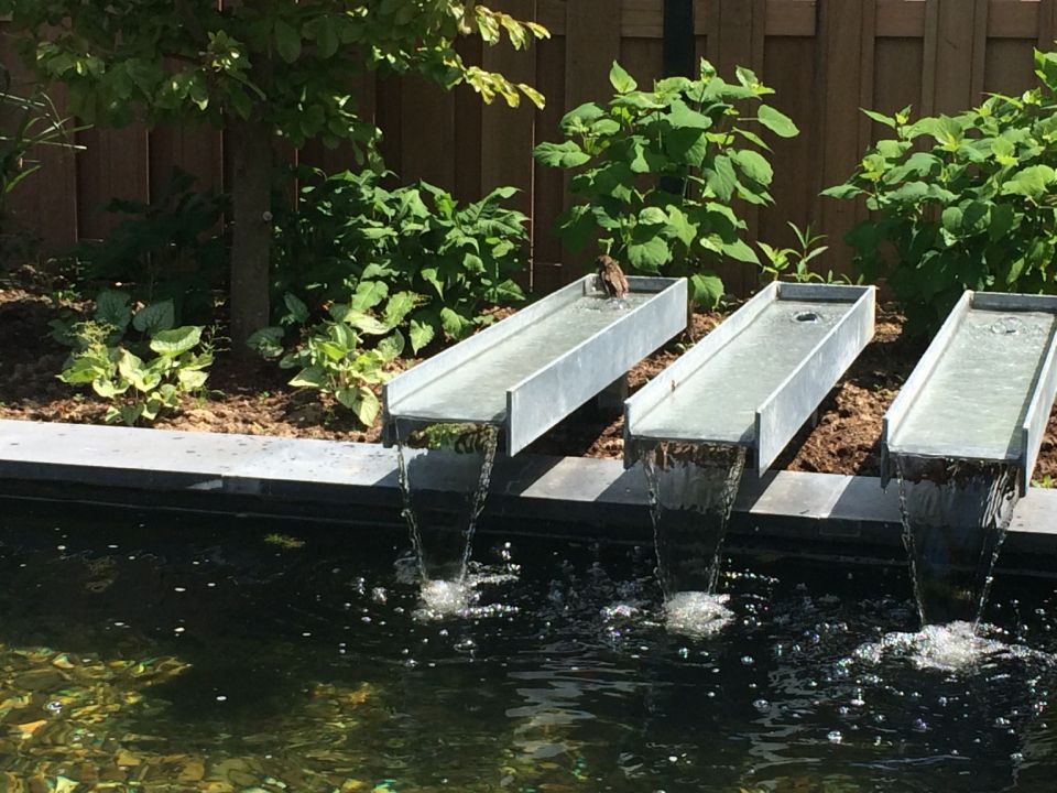  Vijver met waterornament